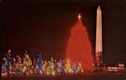National Christmas Tree Washington, DC Washington DC Postcard Postcard