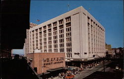 A Look Down Pine Street Postcard