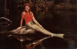 Stock #266046 Thumbnail