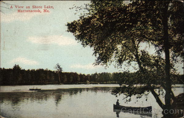 A VIew on Shore Lake Maranacook Maine