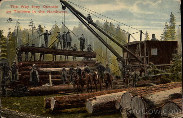 The Way they Operate on Timbers in the Northwest Logging