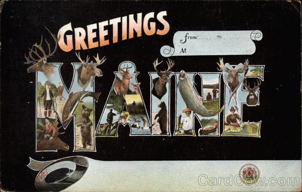 Greetings from Maine Large Letter