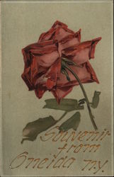 Souvenir - Red Rose Postcard