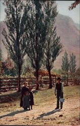 Pastoral Scene in Utah Postcard