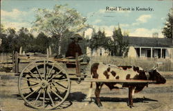 Rapid Transit in Kentucky Cows & Cattle Postcard Postcard