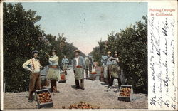 Stock #266228 Thumbnail