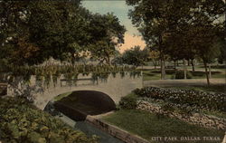 City Park Dallas, TX Postcard Postcard