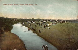 Texas Cattle Ranch Postcard