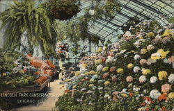 Lincoln Park Conservatory Chicago, IL Postcard Postcard