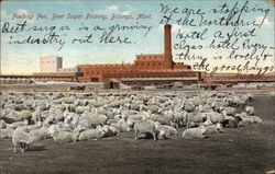 Feeding Pen, Beet Sugar Factory Feeding Pen, Beet Sugar Factory