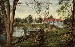 Bronx River Falls, Bronx Park Postcard