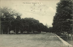 The Common Newport, NH Postcard Postcard