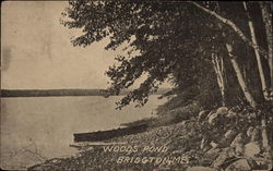 Woods Pond Bridgton, ME Postcard Postcard
