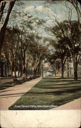 New Haven Green Postcard