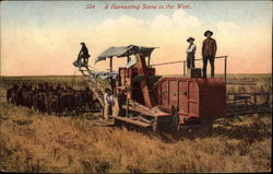 A Harvesting Scene in the West Farming Postcard Postcard