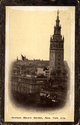 Madison Square Garden Postcard