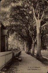 A bit of sidewalk Postcard