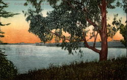 Kelly Lake - Interlaken Postcard
