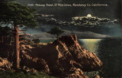 Midway Point, 17 Mile Drive Postcard