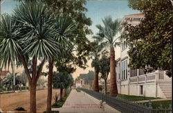 Residence Street Postcard