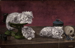 Three Gray and White Kittens with ball of string Cats Postcard Postcard
