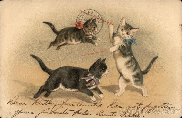 Three Cats with Ribbons around Necks Jump and Play
