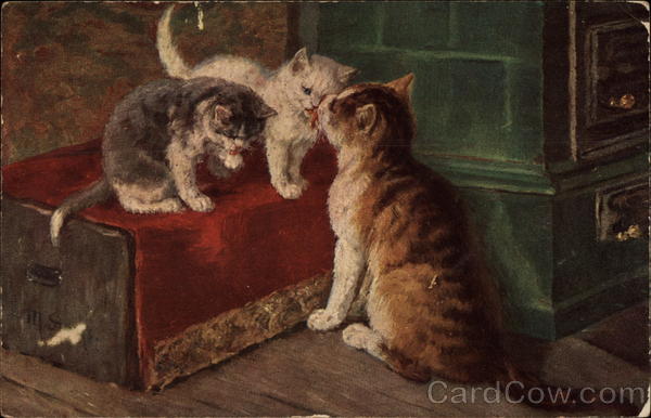 Three Cats Cleaning Themselves