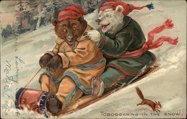 Tobogganing in the snow Bears