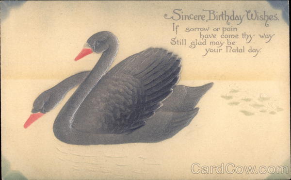 Sincere Birthday WIshes Birds