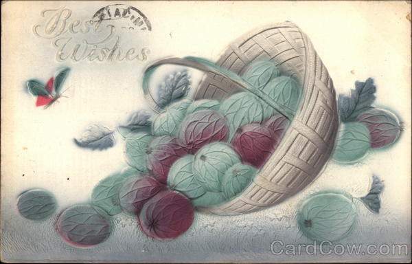 Best Wishes Airbrushed