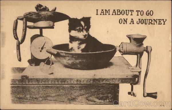 Dog & Meat Grinder Dogs