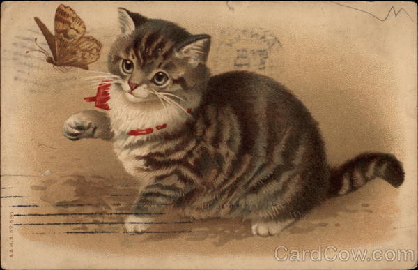 Kitten Playing with Butterfly Cats