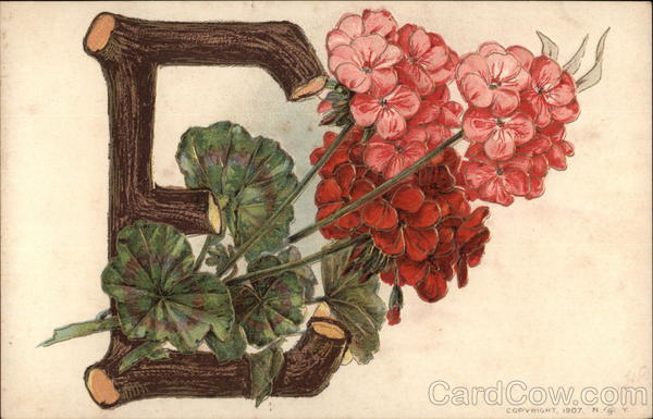 Large Letter E with Geraniums Alphabet Letters