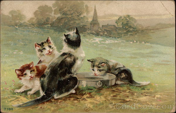 Four Cats Drinking From a Tin