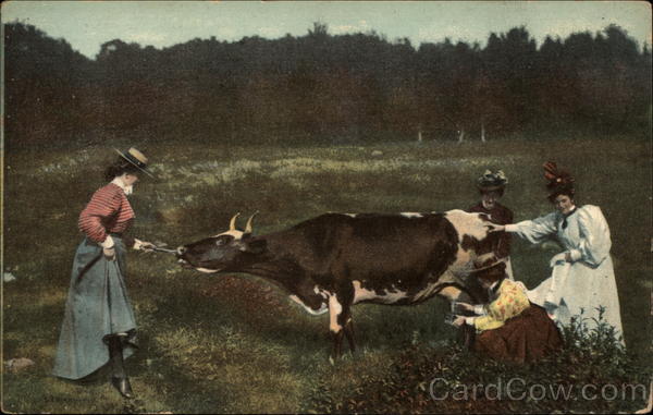 Four Women Milking a Cow