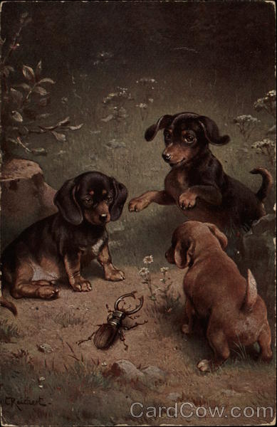 Puppies and Beetle Dogs