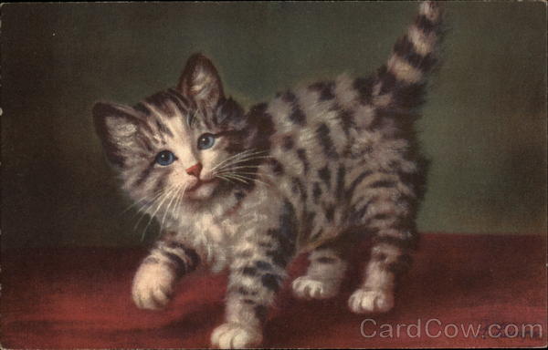 Gray Striped Kitten Cats