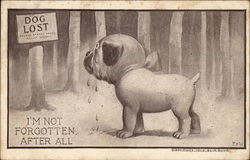 Dog Lost: I'm Not Forgotten After All Postcard