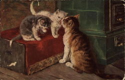 Three Cats Cleaning Themselves Postcard