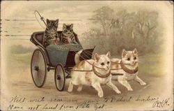 Two Striped Cats in Carriage Drawn by Two White Cats Postcard