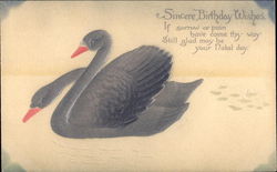 Sincere Birthday WIshes Birds Postcard Postcard