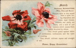 March - Red Poppies Postcard