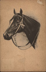 Charcoal Horse Drawing Postcard
