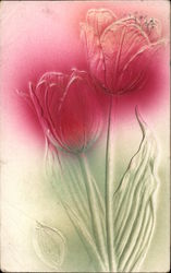 Two Tulips Airbrushed Postcard Postcard