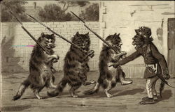 Three Cats with Guns and a Monkey Drill Sargeant Postcard