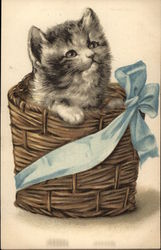 Cat in a Basket Postcard