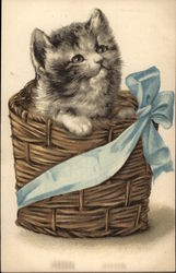 Cat in a Basket Cats Postcard Postcard