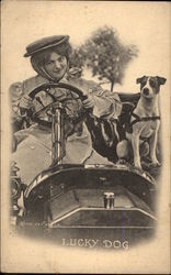 Woman Driving with a Dog Postcard