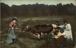 Four Women Milking a Cow Postcard