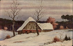 Peace of winter Postcard